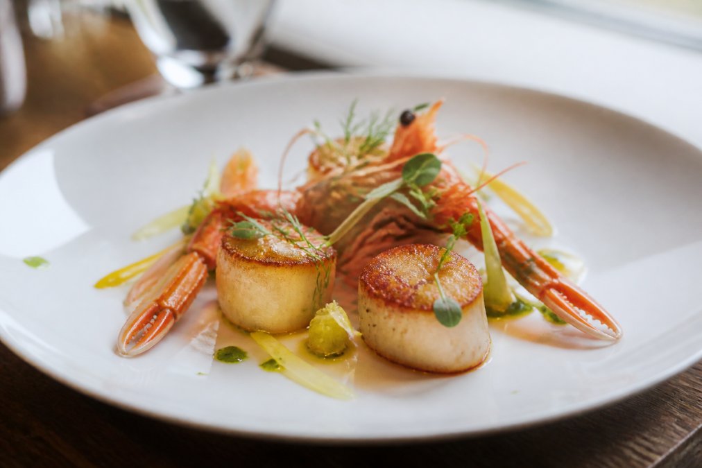 Artfully plated seafood dish featuring hand-dived scallops and langoustines with delicate garnish and sauce, presented on white porcelain under soft natural light