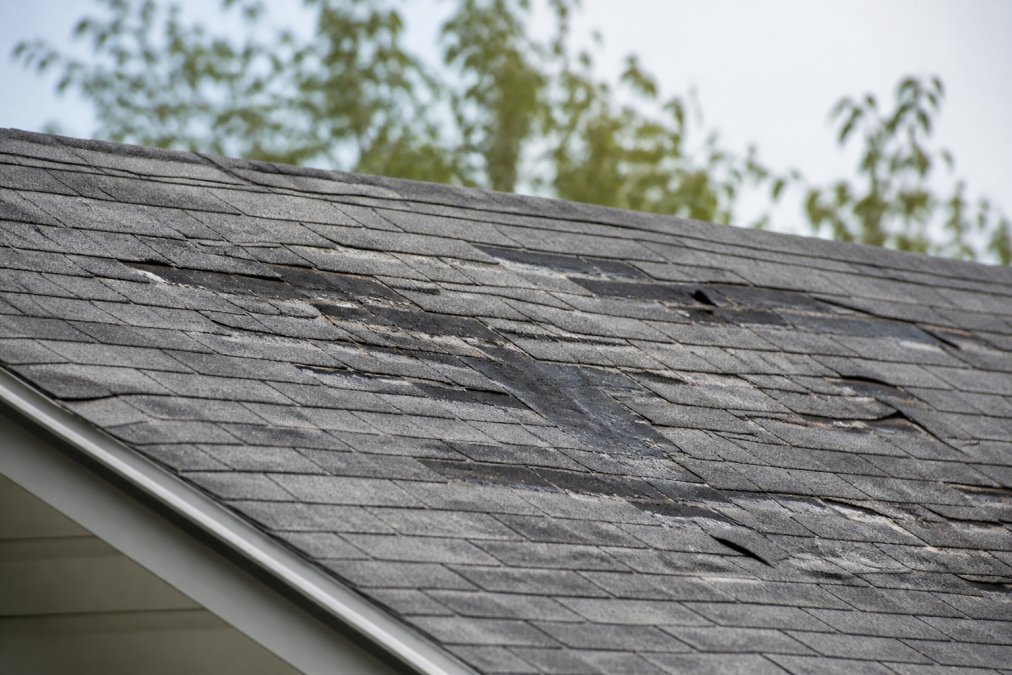 Close-up of residential roof showing visible damage including missing shingles, weathered granules, curled edges, and areas of discoloration from water exposure and UV degradation