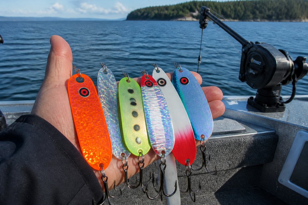 Professional illustration showing salmon trolling gear