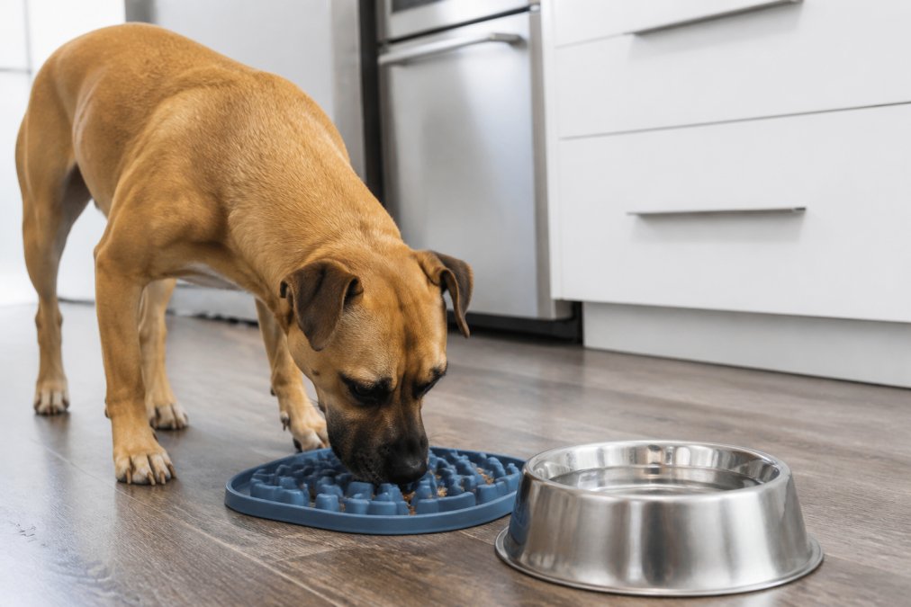 Medium-sized dog eating from a textured silicone slow feeder mat on a kitchen floor next to a metal bowl