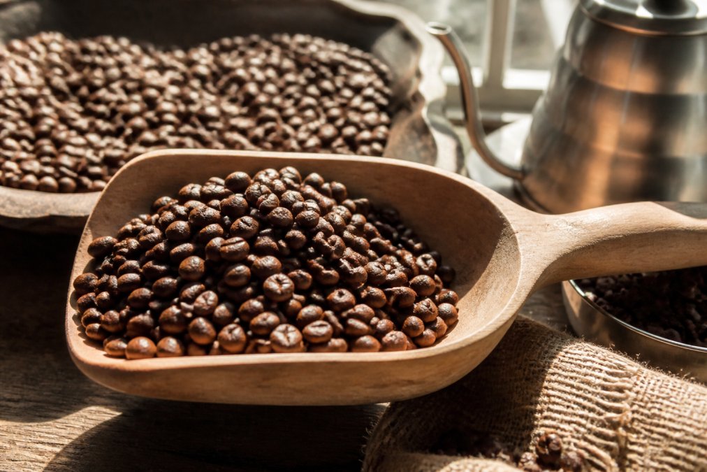 Close-up of freshly roasted whole coffee beans in a wooden scoop with roast date label visible, morning sunlight highlighting the bean surface texture and rich brown color variation