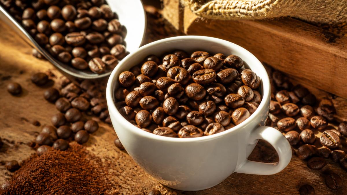 Freshly roasted coffee beans in a white cup with caramel and chocolate tones under warm morning sunlight.
