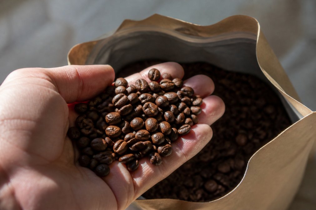 Close-up of freshly roasted coffee beans in a hand, with roast date label visible, soft natural light highlighting the bean color and texture