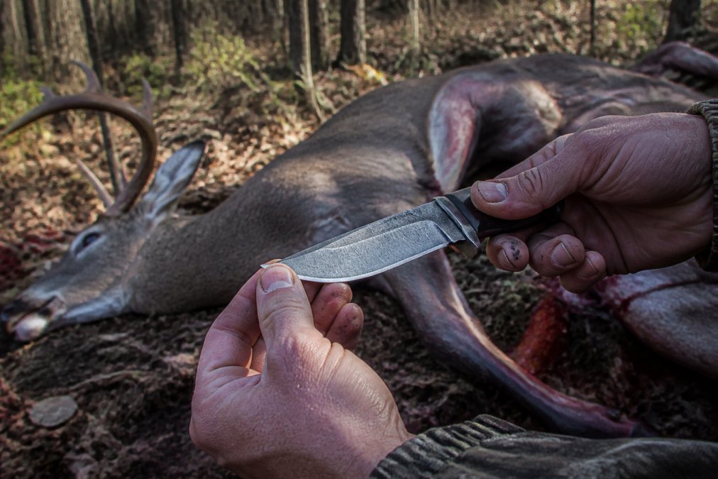 Hunter inspecting the sharp edge of a fixed blade knife after using field dressing knives on a deer.