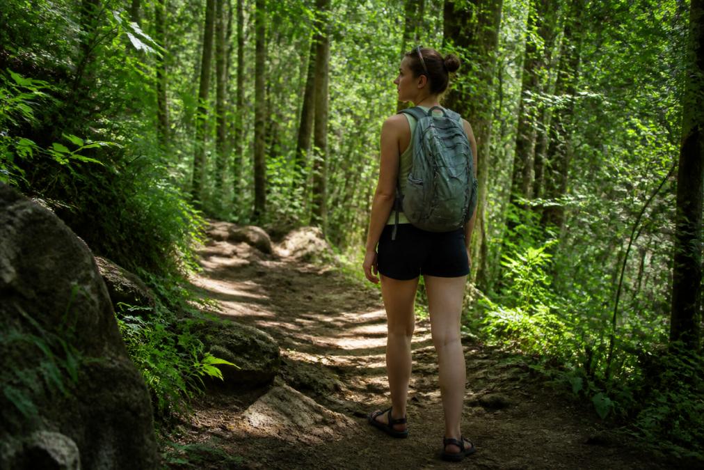 A hiker with a lightweight daypack on a sun-drenched summer trail, wearing breathable apparel and sport sandals, surrounded by dense green summer foliage, dappled sunlight filtering through the tree canopy