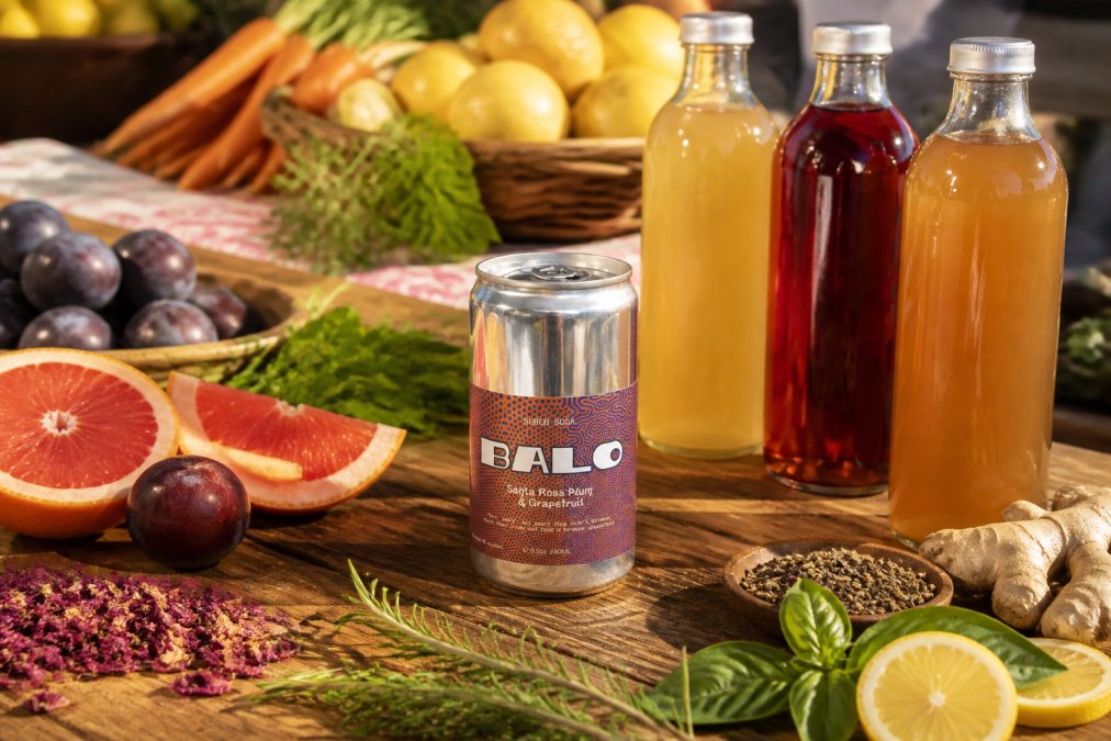 Close-up of colorful bottles of kombucha and shrub soda arranged on a wooden table with fresh farmers market produce, citrus slices, and botanicals in natural sunlight