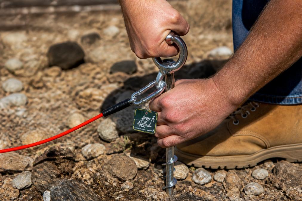 Close-up of heavy-duty steel tie-out stake being driven into rocky terrain, showing the pointed tip and barb design with hands gripping the stake