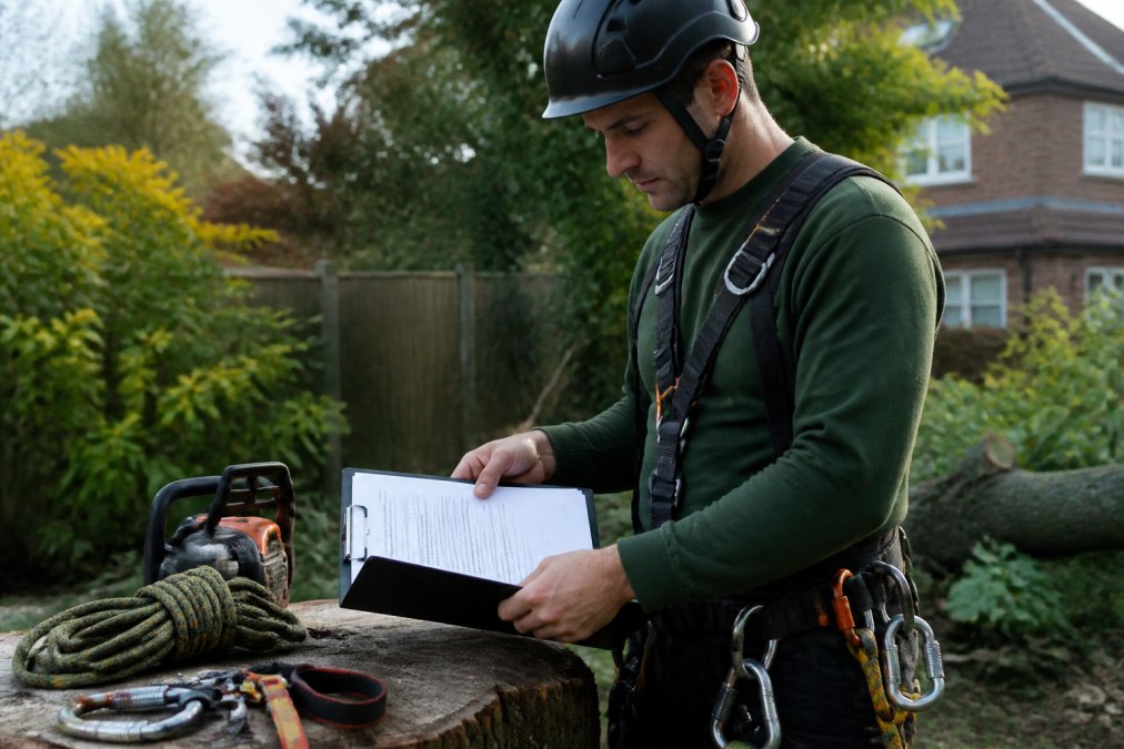 Professional tree surgeon in safety harness and hard hat reviewing insurance documentation and climbing credentials on a clipboard at a residential garden