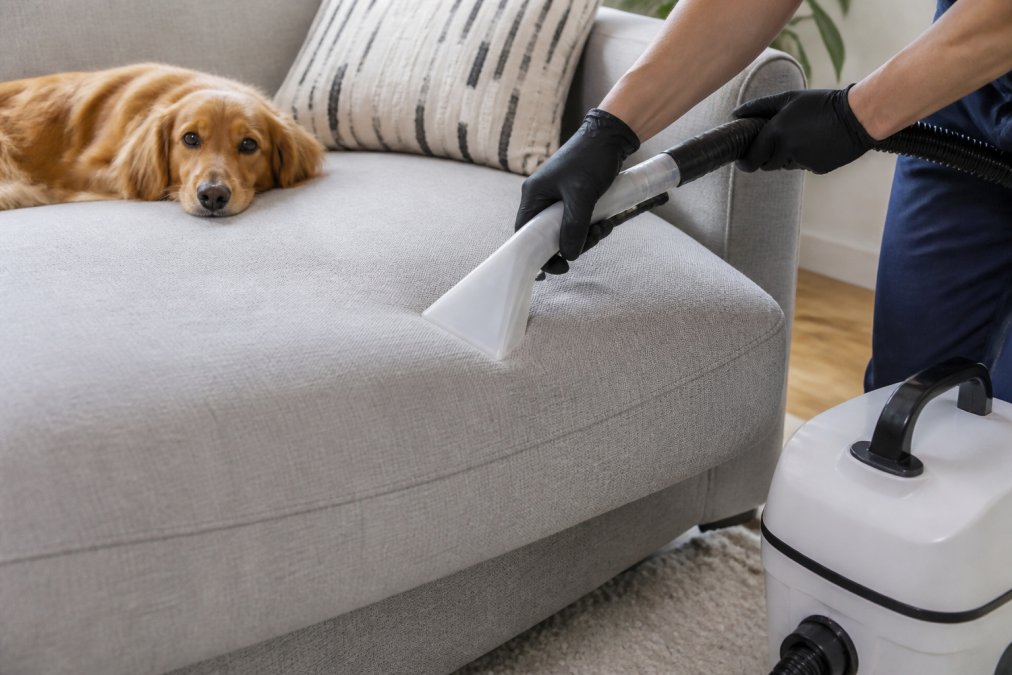Best Upholstery Cleaning for Pet Owners: 2026 Guide