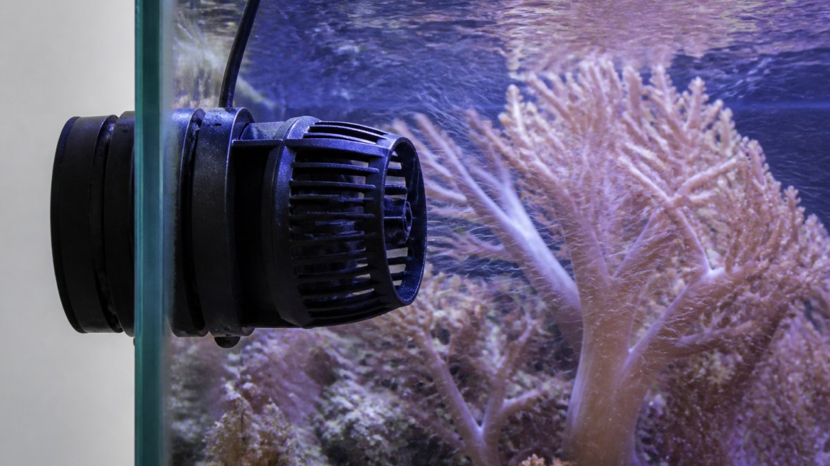 Submersible water pump mounted on aquarium glass creating flow around soft corals