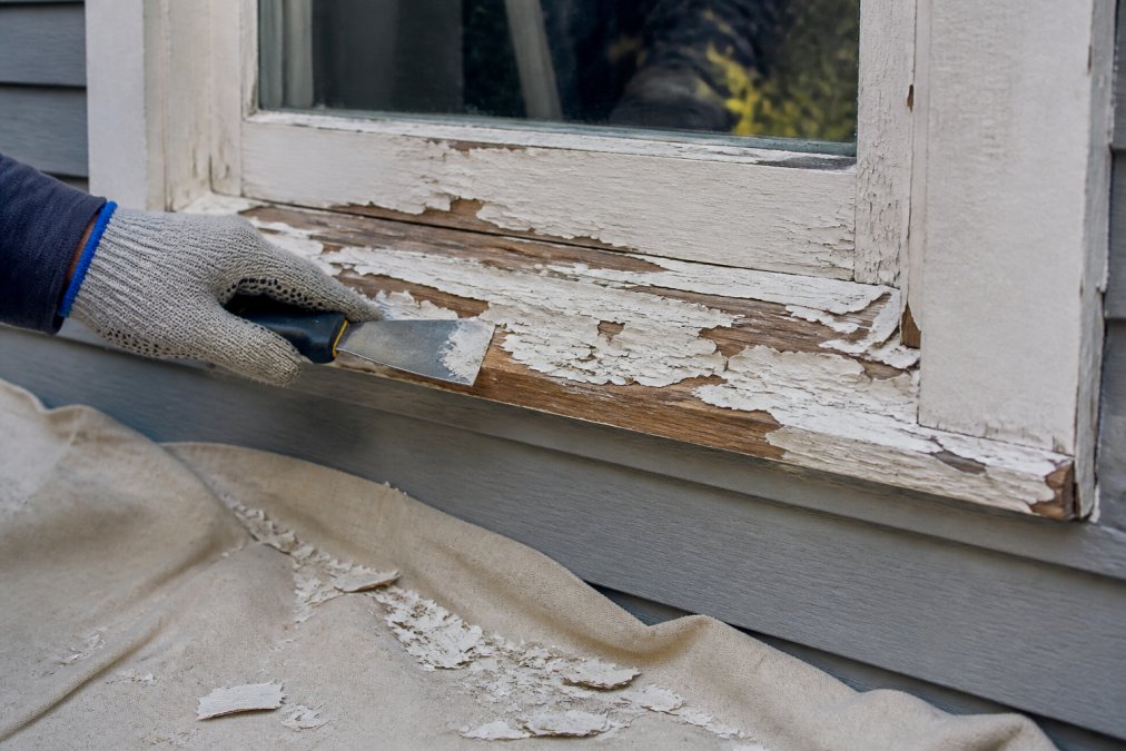 A gloved hand using a paint scraper to remove loose, peeling paint from a wooden exterior window trim, with a drop cloth on the ground below