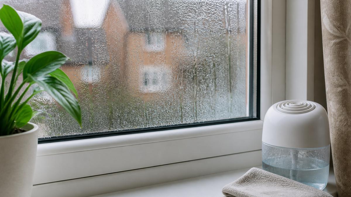 Best Ways to Prevent Window Condensation: 2026 Guide
