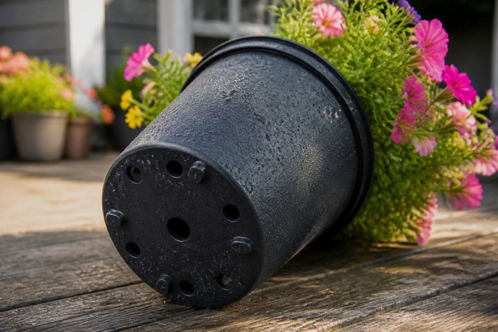 Close-up of a durable plastic planter with water beading on its fade-resistant surface, showing multiple drainage holes on the bottom, positioned on a weathered wooden deck with blooming flowers in soft afternoon light
