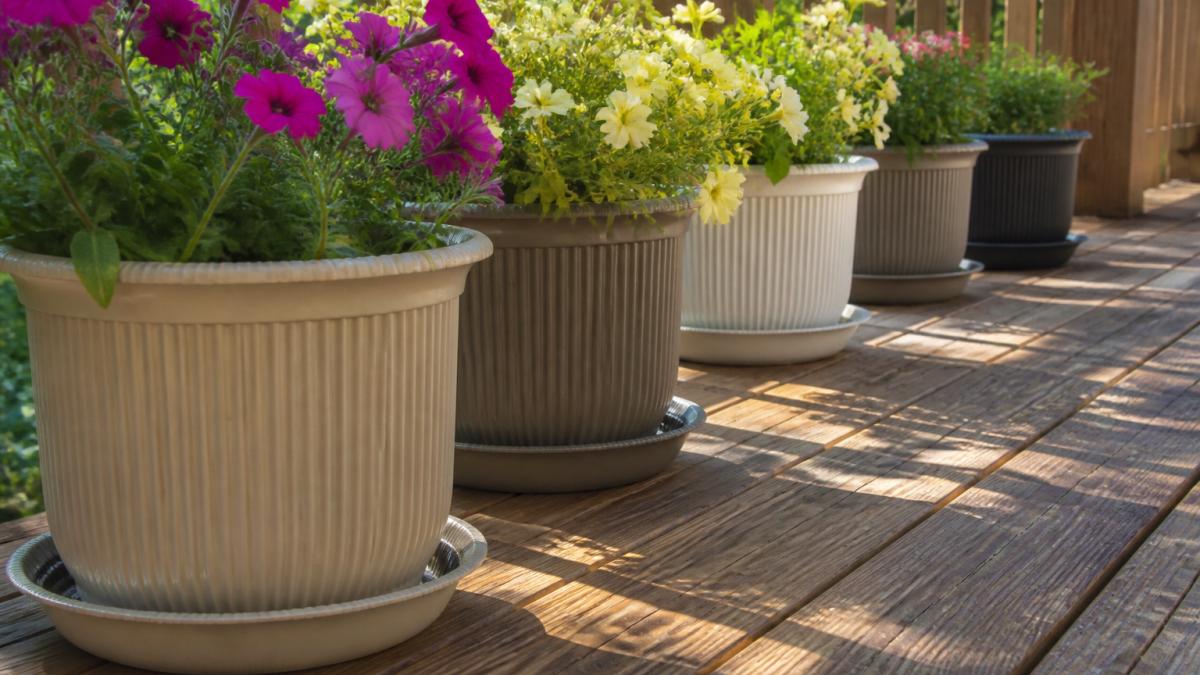 Wooden deck with multiple potted plants arranged in rows, ribbed saucers visible underneath each pot, natural sunlight creating shadows on the deck surface, showing water protection design in action