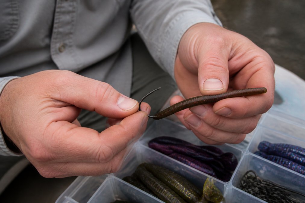 Close-up of an angler's hands threading an offset EWG hook through a soft plastic worm, showing the correct Texas rig technique over a tackle box