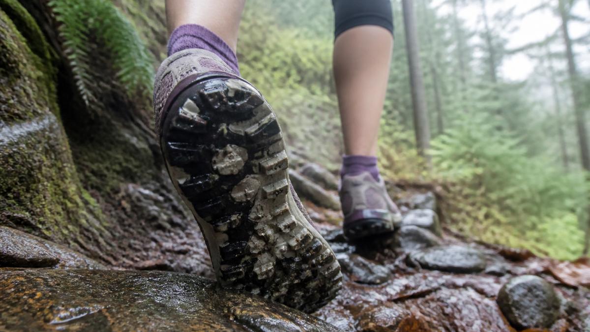 Close-up of a trail running shoe with deep lugs gripping wet, rocky ground on a forest trail during a descent.