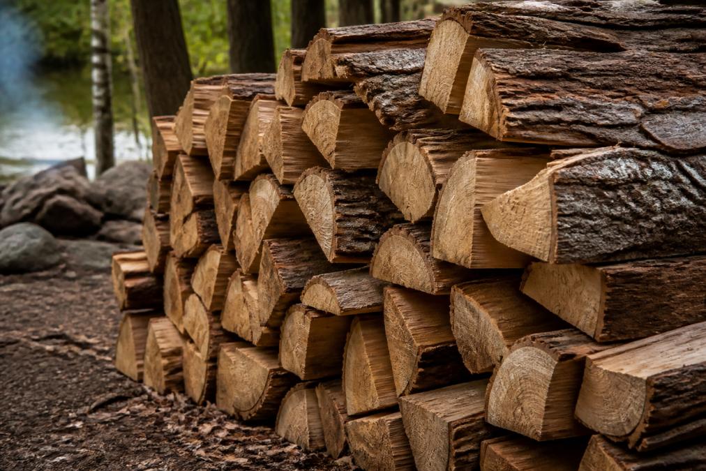 Infographic chart comparing flavor profiles of various seasoned hardwood species for open fire cooking