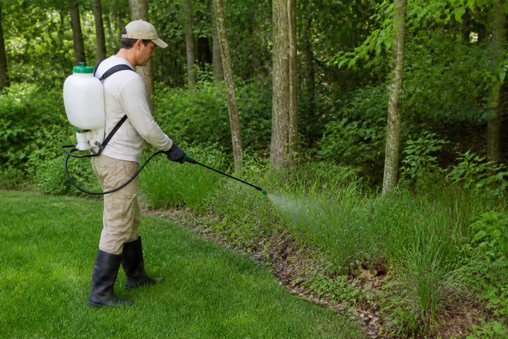 Homeowner spraying yard perimeter near wooded edge with handheld sprayer, focusing on tall grass and leaf litter areas where ticks congregate
