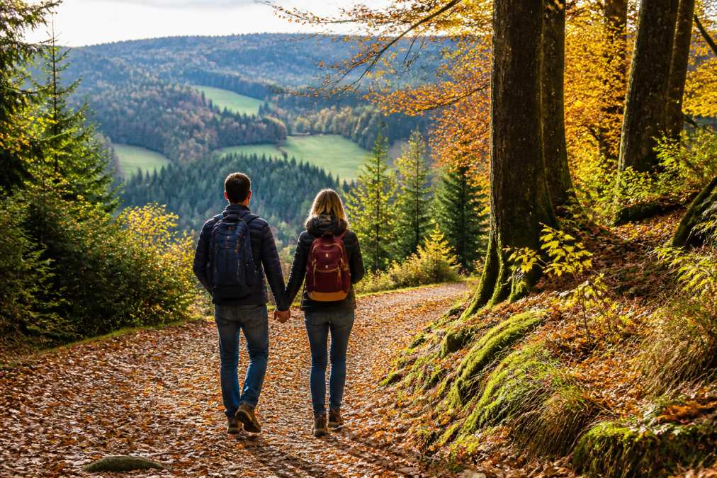 Dve osoby kráčajú ruka v ruke po lesnej cestičke v prírodnom prostredí vo Waldvierteli, okolo nich jesenné sfarbenie lístia, v pozadí pokojná zelená krajina, mäkké popoludňajšie svetlo