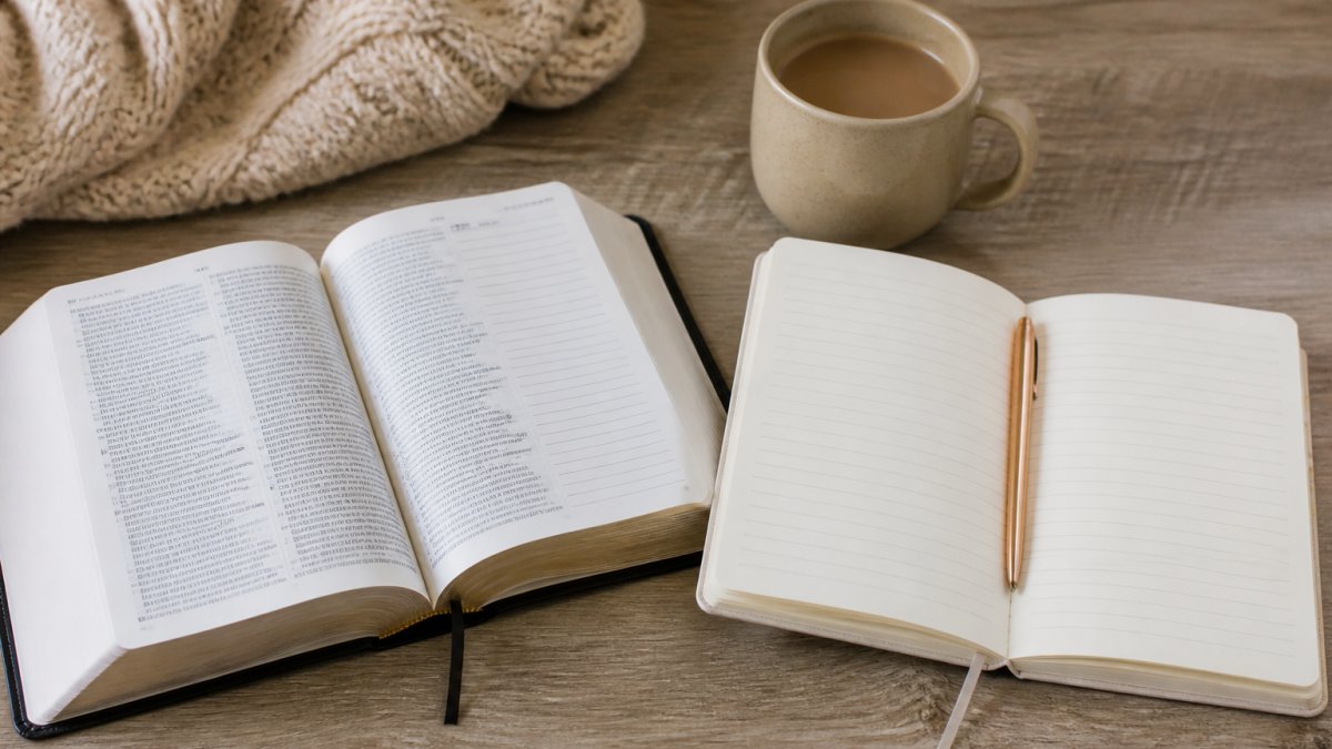 Bible Study Guide vs Devotional for Busy Women