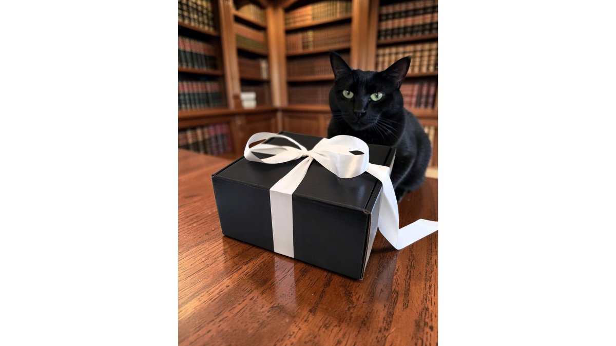 A person sitting on a cozy sofa unwrapping a mystery book gift box, a soft blanket draped over their lap, a lit candle on the side table, and a black cat curled up nearby, warm golden lighting