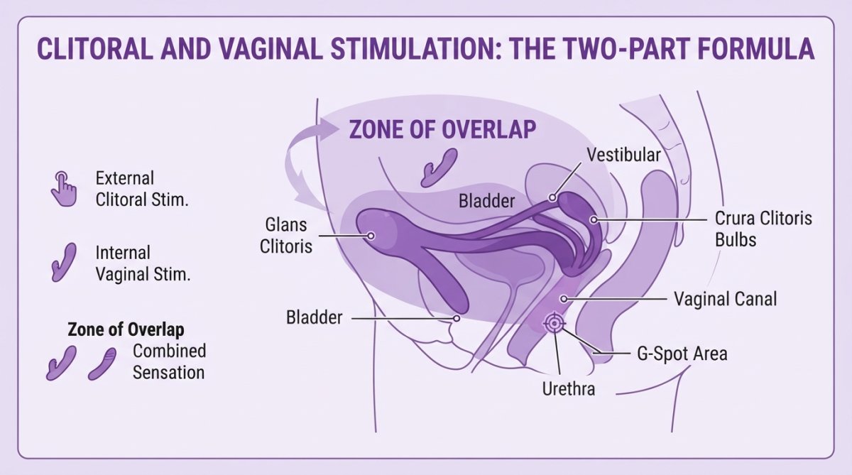 Anatomical diagram visualizing the overlap of clitoral and vaginal stimulation zones for a blended orgasm.