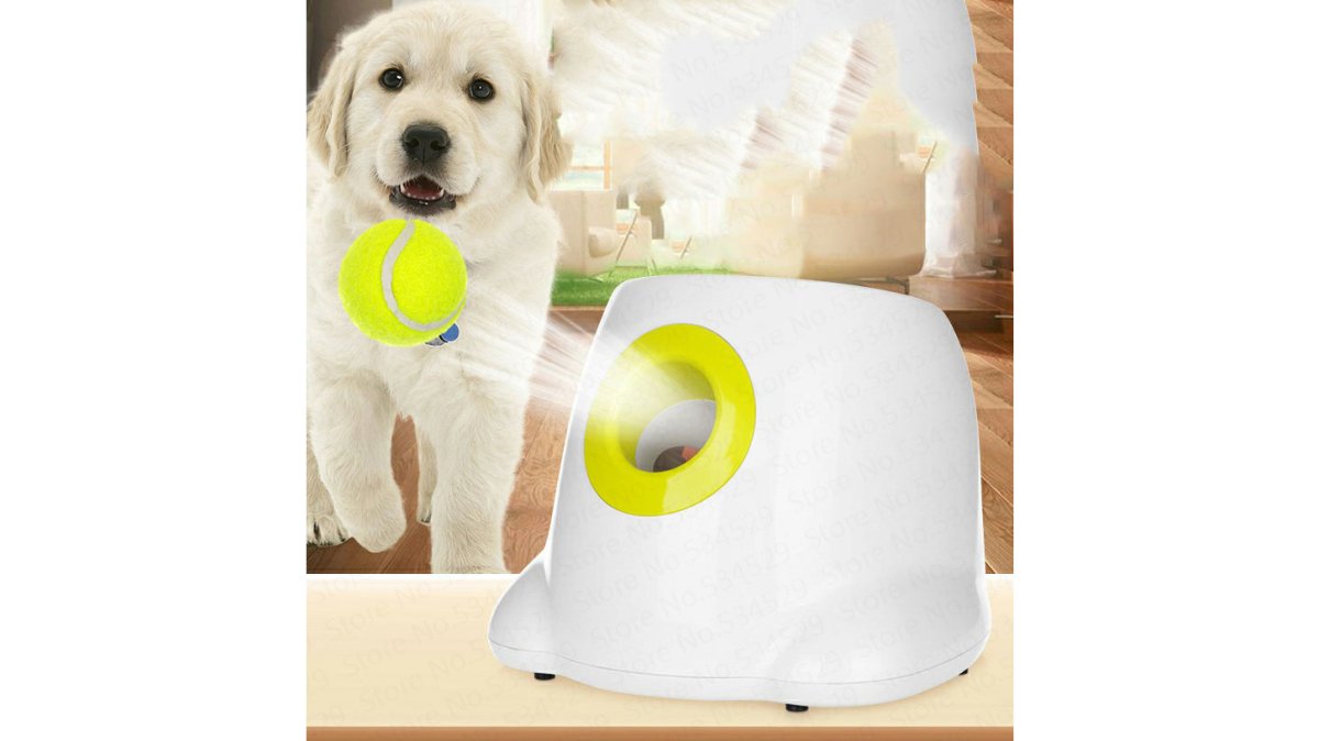 BlimPet™ Ball Launcher
