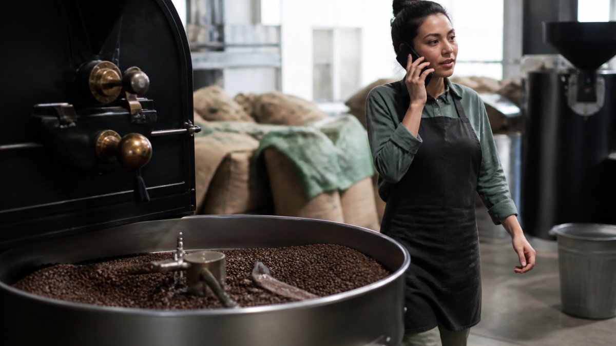 Close-up of freshly roasted specialty coffee beans with fine mushroom powder blend scattered across a white ceramic surface, warm afternoon sunlight highlighting the rich brown tones and texture