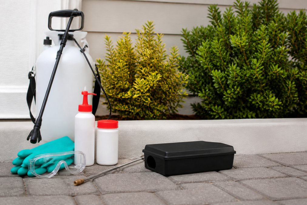 Book Residential Pest Control Today: 7 Top Providers