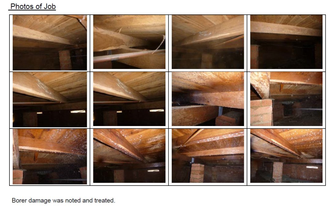 Borer Damage Treated