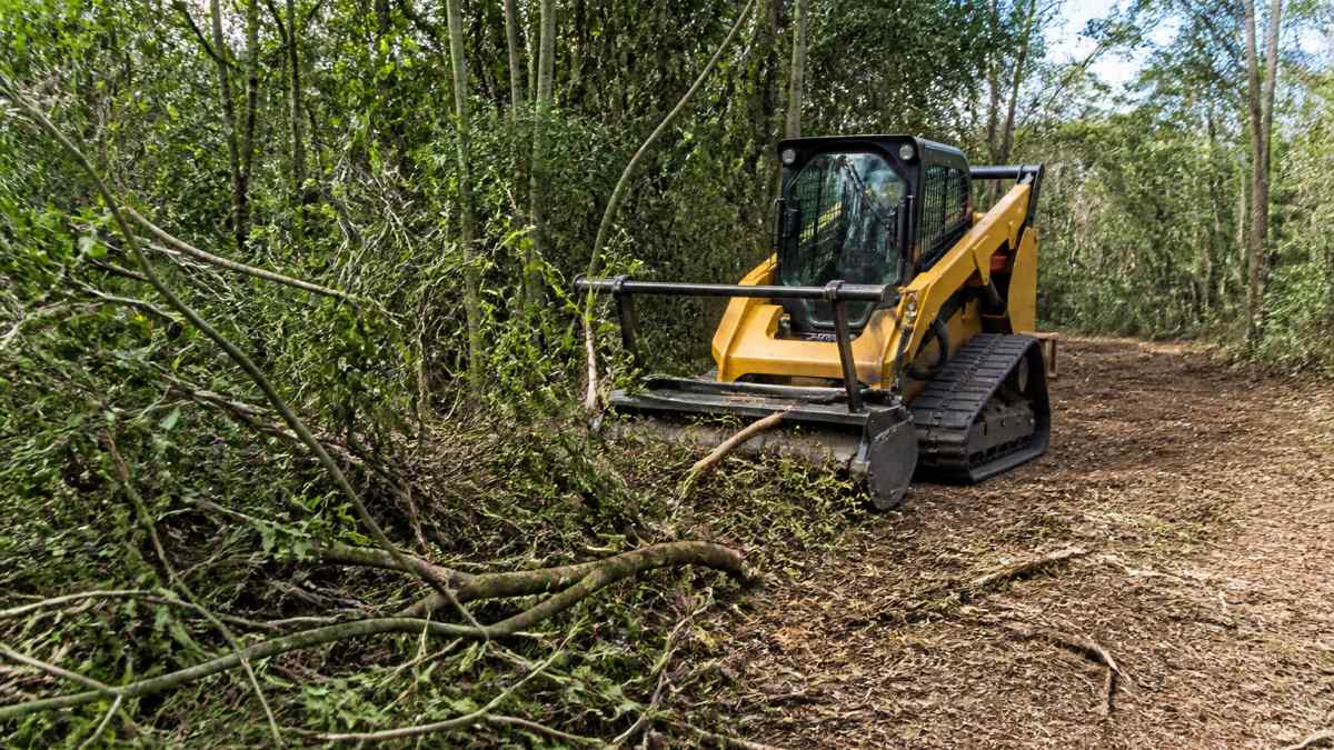 Brush Clearing East Texas: Land Clearing Costs & Tips