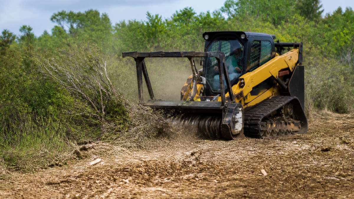 Forestry mulching equipment clearing dense brush as one of several effective brush control alternatives.