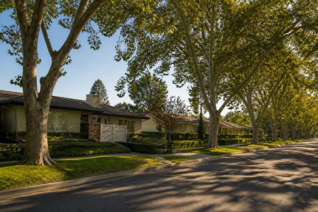 A quiet residential street in Burbank Rancho lined with low-slung ranch-style homes, mature sycamore trees casting afternoon shadows, and neatly kept front yards with low hedges, photographed in warm late-day light