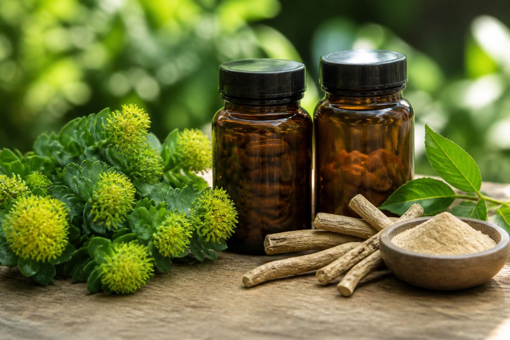 Flessen met Rhodiola en Ashwagandha burn-out herstel supplementen op een houten ondergrond met verse groene bladeren en