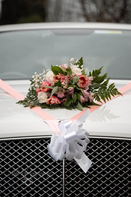 Business Suite Creation 2034997830624320