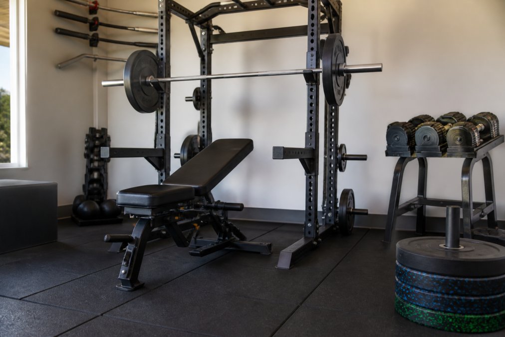 Well-organized home gym featuring a heavy-duty power rack with loaded barbell, adjustable dumbbells arranged on a stand, commercial-grade weight bench, and stacked bumper plates on a rubber mat, showcasing steel frame construction and professional equipment setup