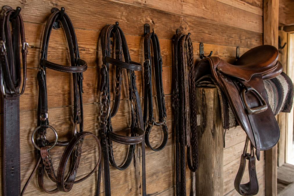 Close-up of well-maintained leather tack hanging neatly on a wooden tack room wall, including bridles, reins, and a saddle, with warm barn lighting