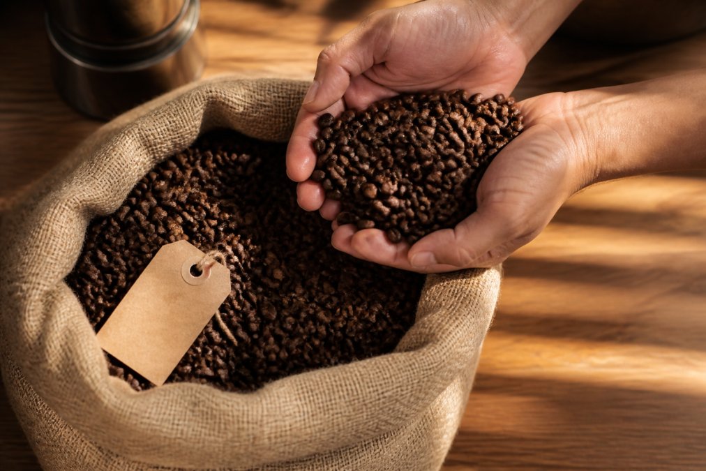 Close-up of freshly roasted coffee beans in a burlap sack with a roast date label visible, hands holding beans over a wooden table with morning light