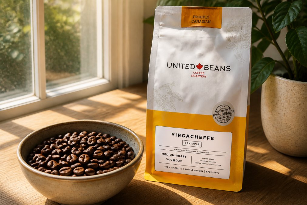 Close-up of whole Ethiopian coffee beans in a ceramic bowl, with morning sunlight streaming through a window highlighting their rich mahogany-brown color and individual bean texture, emphasizing freshness and artisanal quality