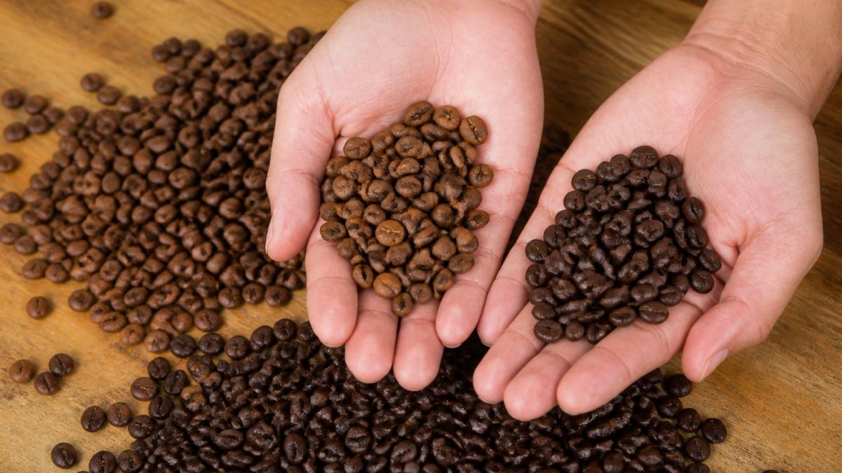 Close-up of hands holding freshly roasted whole coffee beans from different origins, with roasted beans scattered on a wooden surface showing their color variation and texture