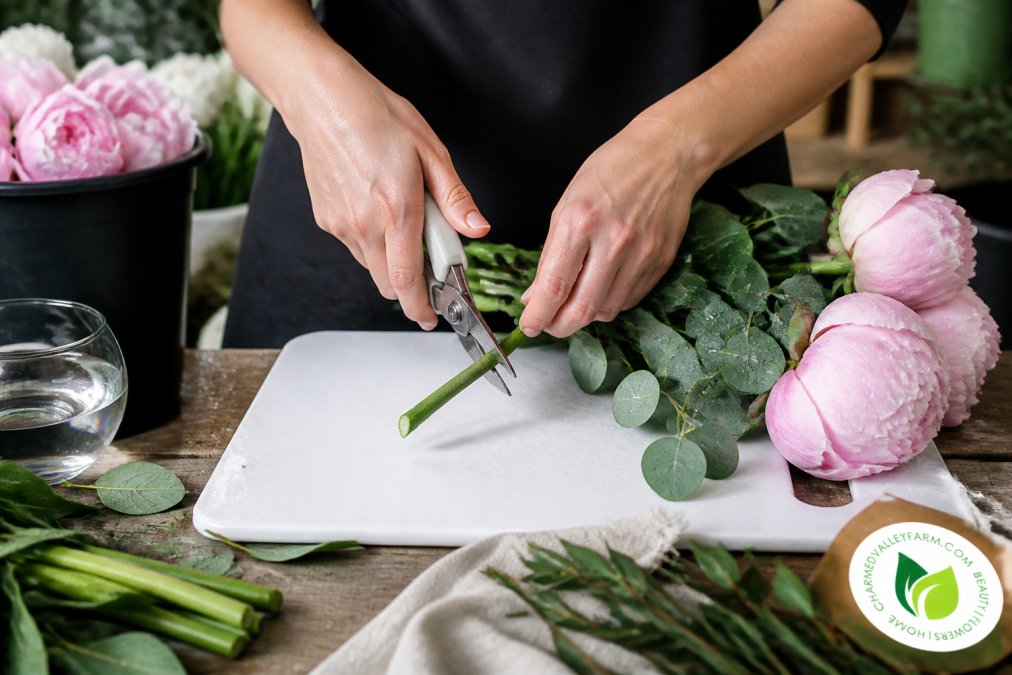 Close-up of florist hands trimming fresh flower stems at a 45-degree angle over a clean cutting board, with water droplets visible on pale pink peonies and eucalyptus leaves