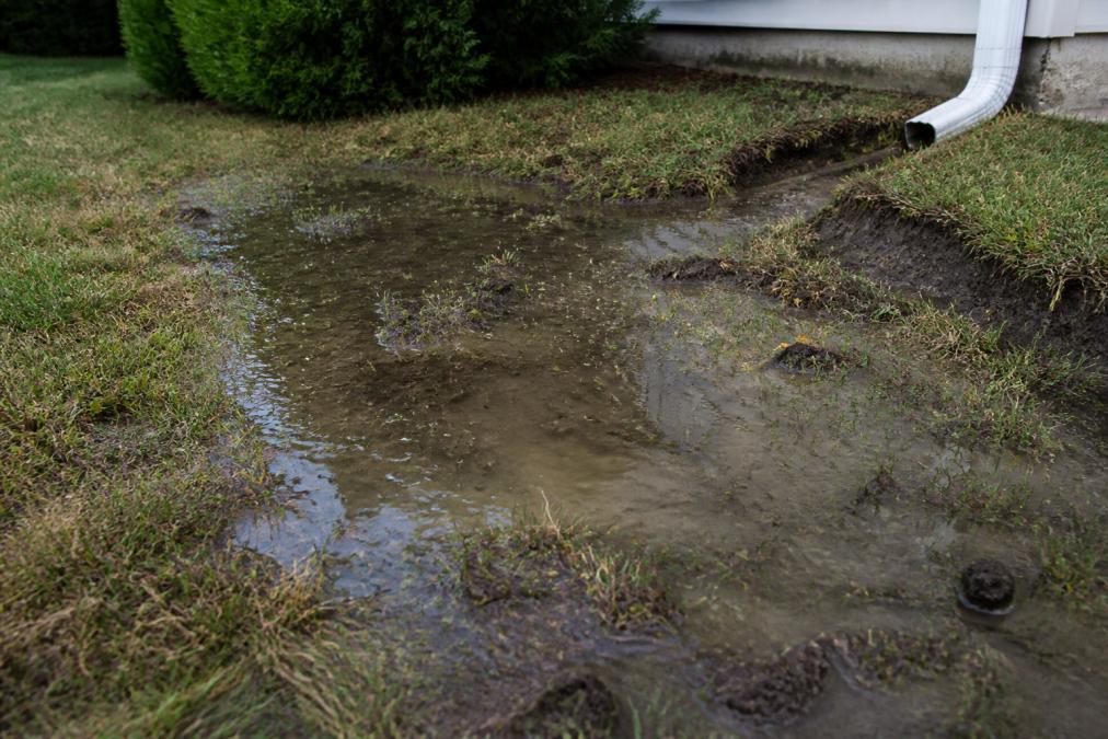 Close-up of standing water pooling in a residential yard with muddy patches, visible soil erosion, and grass dying from waterlogging in afternoon sunlight