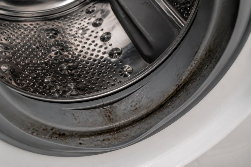 Close-up of washing machine drum interior showing moisture buildup and visible mildew spots on rubber gasket and drum walls