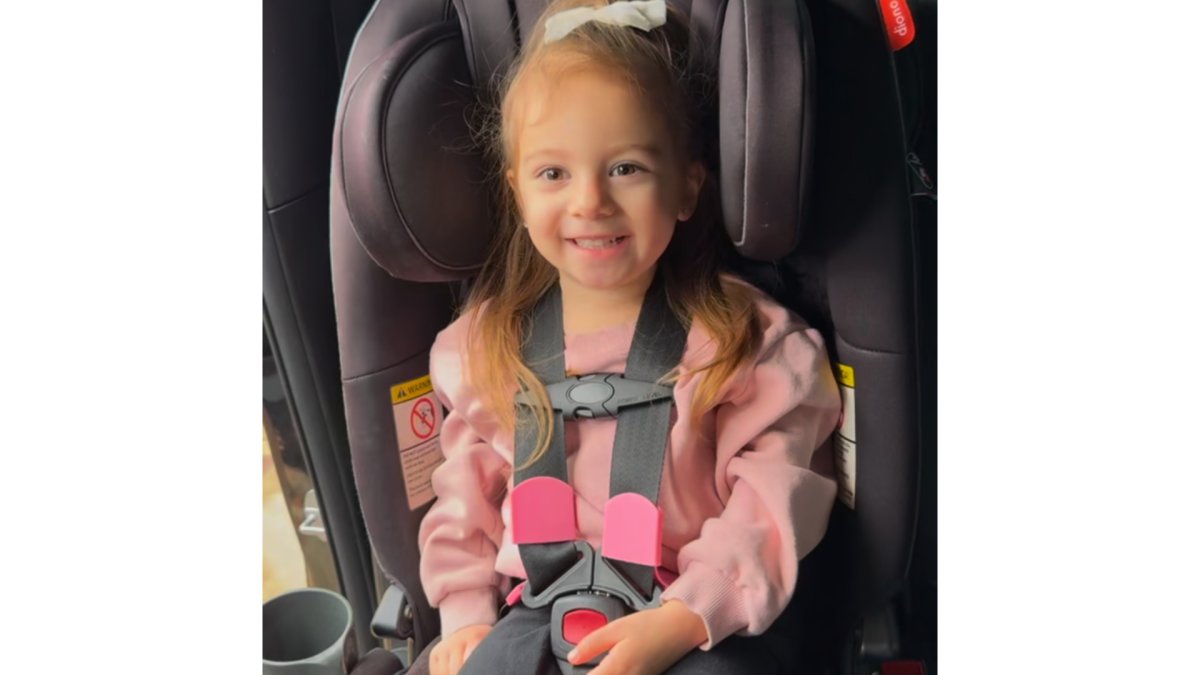 Car Seat Strap Aligner Accessory
