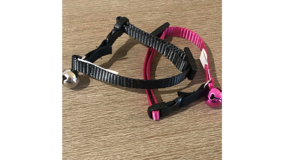 Cat Collar with Pet Tag