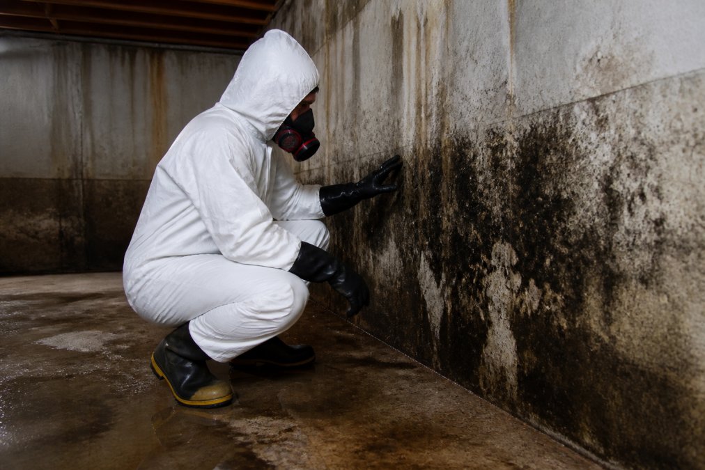 IICRC-certified technician in full protective equipment including respirator mask, disposable suit, and heavy-duty gloves conducting inspection of water-damaged basement with visible dark staining and moisture on concrete walls and flooring
