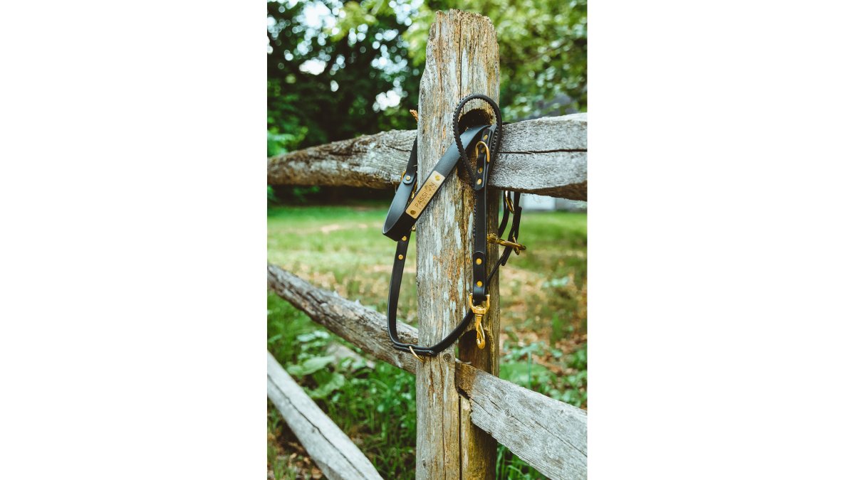 Ceinture et laisse Biothane® Passion Éducanine™