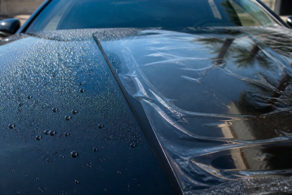 Close-up of a luxury vehicle's hood showing glossy ceramic-coated surface with water beading on one side, and transparent paint protection film on adjacent section under bright sunlight