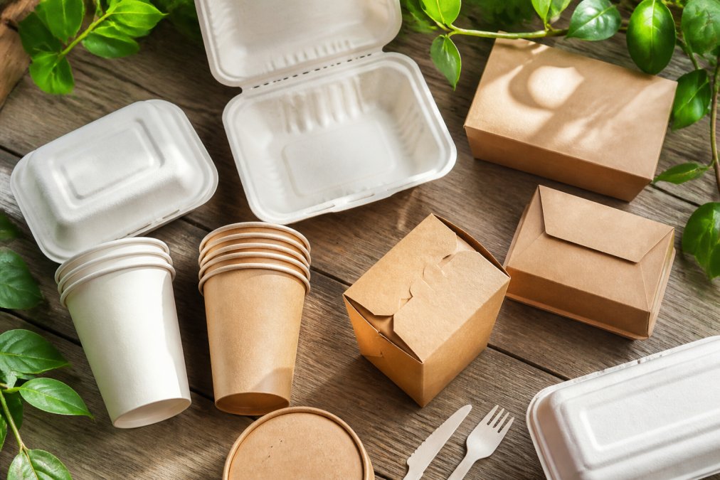 Overhead flat-lay of assorted compostable takeaway containers including sugarcane clamshells, kraft board boxes, and plant-based cups arranged on a natural wooden surface with fresh green leaves as accents, photographed in bright natural daylight