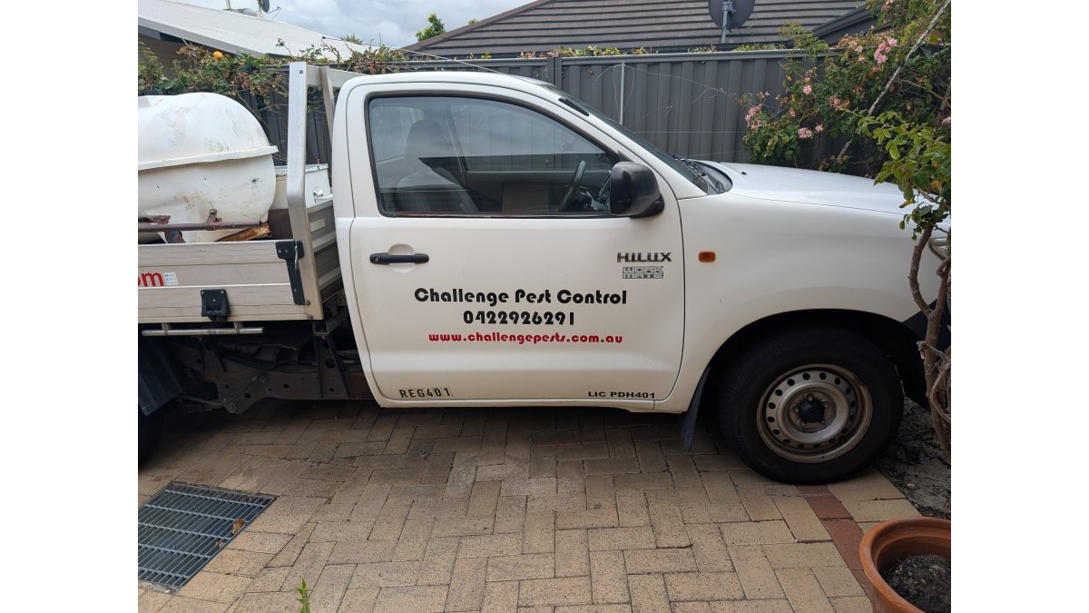 Pest Control Maintenance for Rental Properties